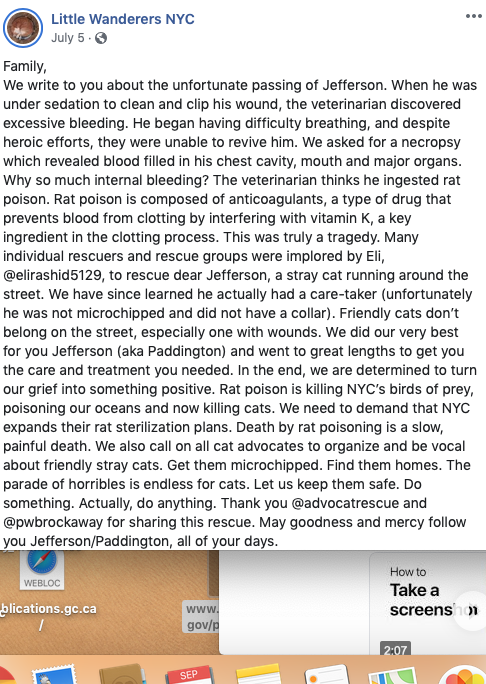 Screen Shot 2019-09-15 at 9.44.25 PM.png